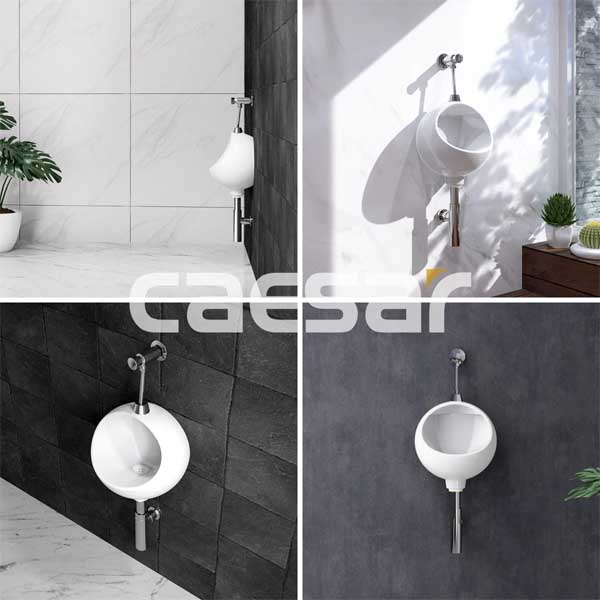Tiểu Nam Treo Tường Caesar U0210