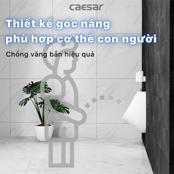 Tiểu Nam Treo Tường Caesar U0221