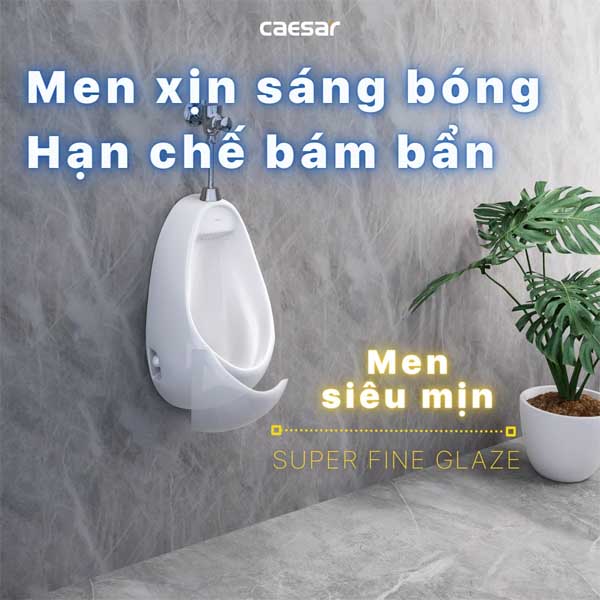 Tiểu Nam Treo Tường Caesar U0221