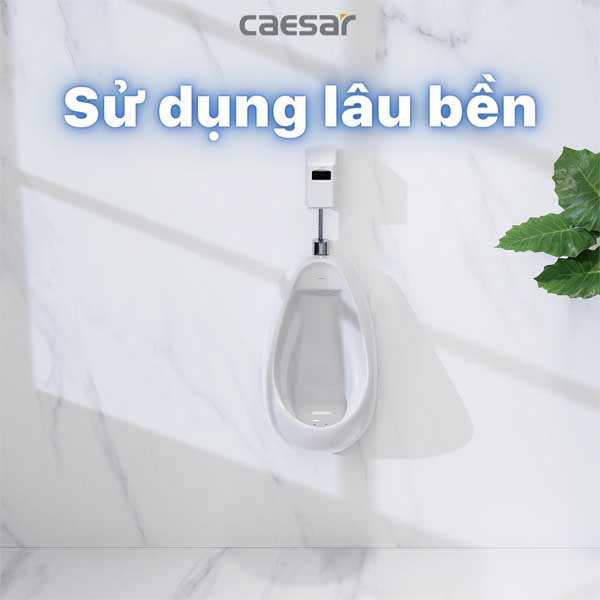 Tiểu Nam Treo Tường Caesar U0221