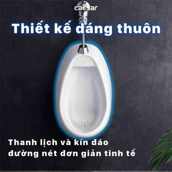 Tiểu Nam Treo Tường Caesar U0221