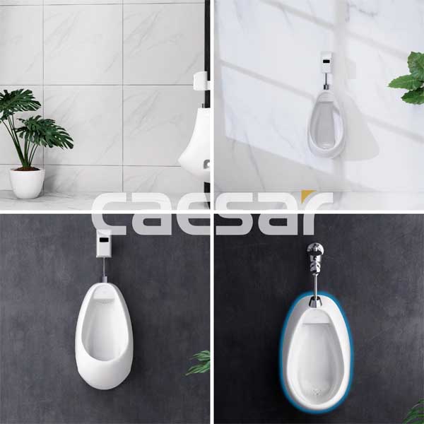 Tiểu Nam Treo Tường Caesar U0221