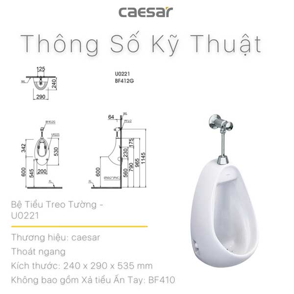 Tiểu Nam Treo Tường Caesar U0221