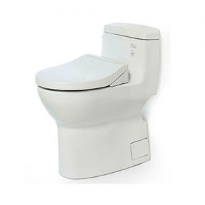 Bàn cầu TOTO MS884E2 nắp rửa cơ TCW07S một khối
