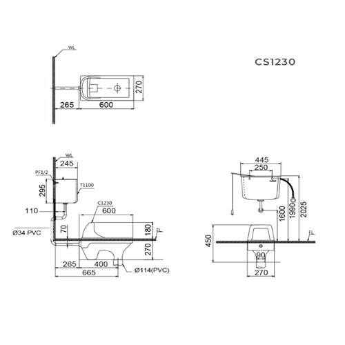 TSKT Xí xổm két treo Caesar CS1230 ( bàn cầu xổm CS1230)