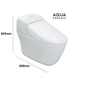 Bồn cầu một khối Inax AC-1032VN