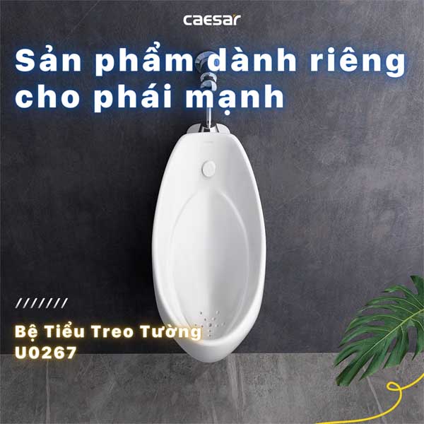 Tiểu Nam Treo Tường Caesar U0267