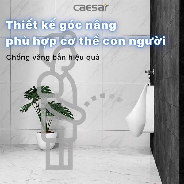 Tiểu Nam Treo Tường Caesar U0267