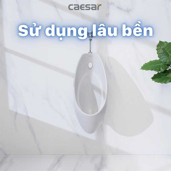 Tiểu Nam Treo Tường Caesar U0267