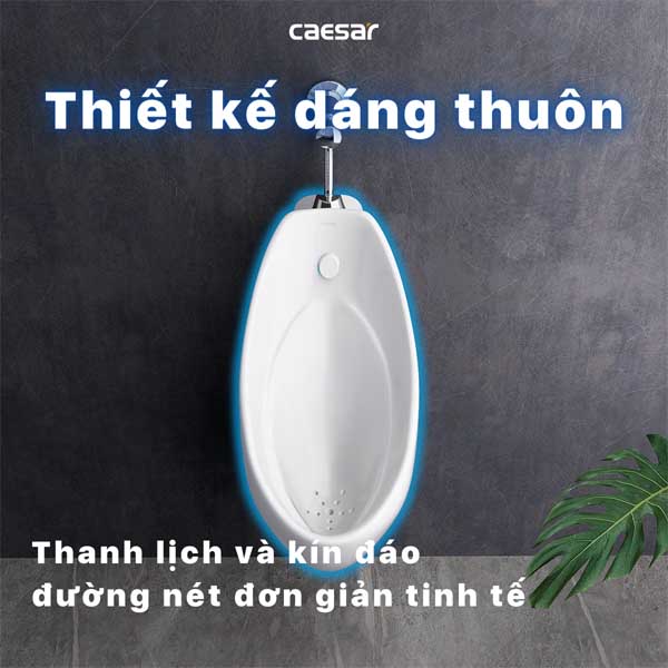 Tiểu Nam Treo Tường Caesar U0267