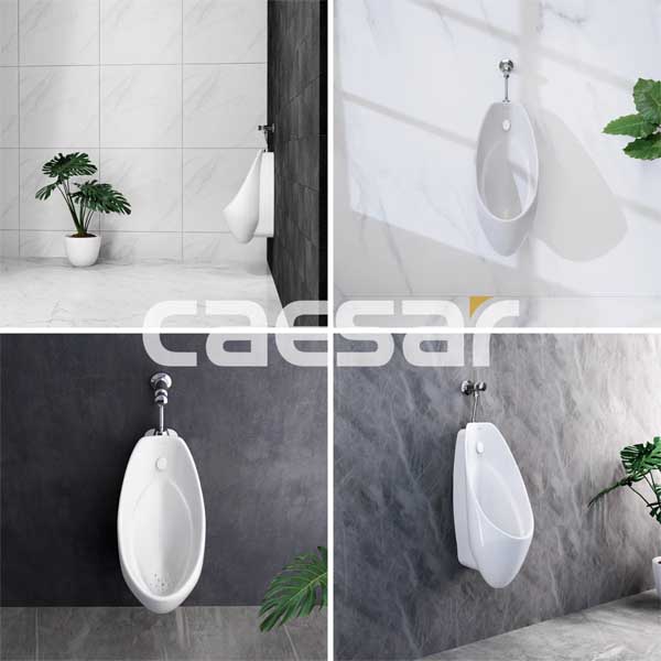Tiểu Nam Treo Tường Caesar U0267