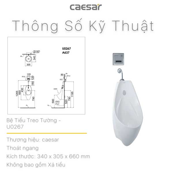 Tiểu Nam Treo Tường Caesar U0267
