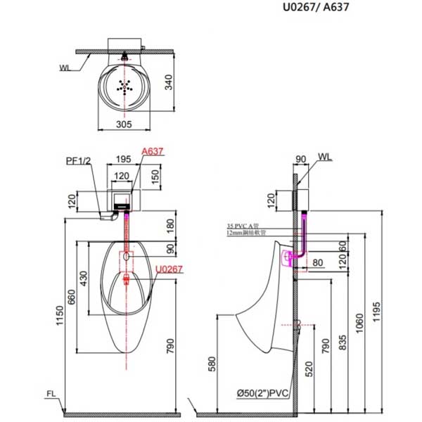 Tiểu Nam Treo Tường Caesar U0267