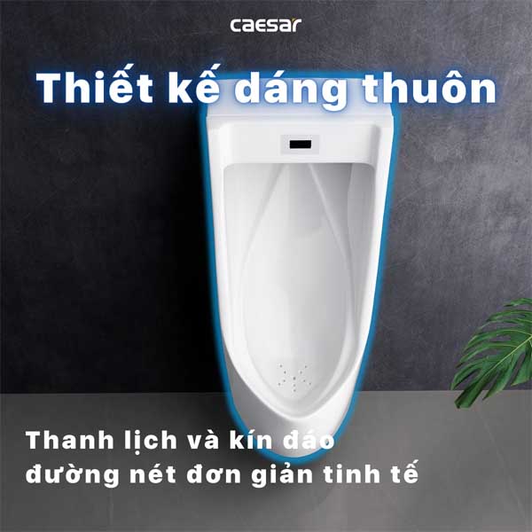 Tiểu Nam Treo Tường Caesar UA0237