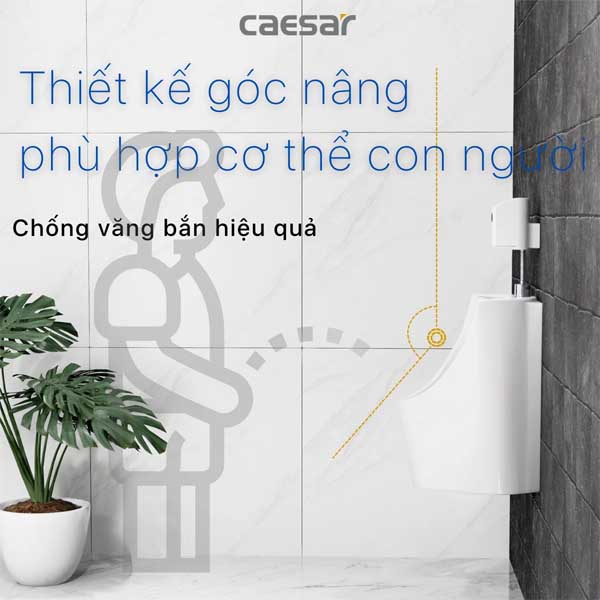 Tiểu Nam Treo Tường Caesar U0233