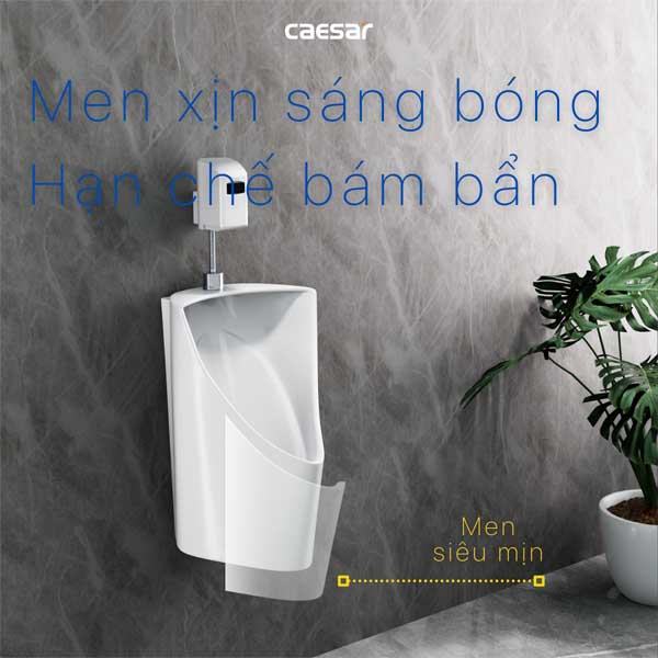 Tiểu Nam Treo Tường Caesar U0233