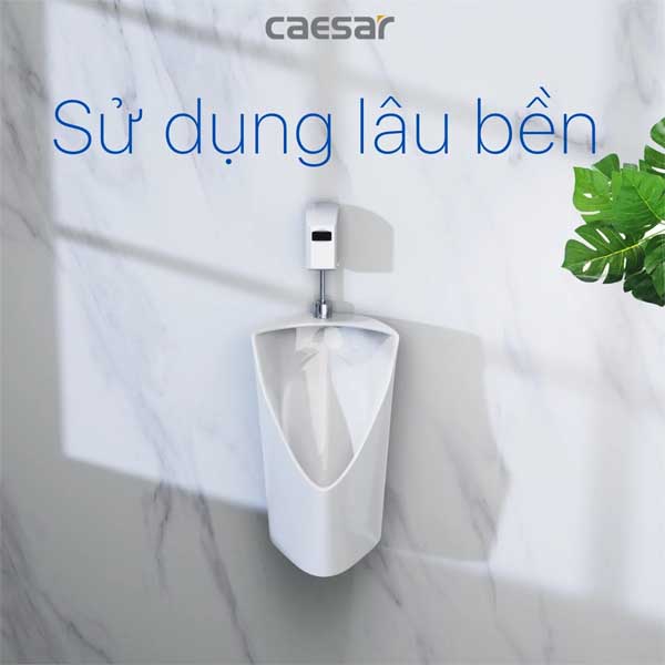 Tiểu Nam Treo Tường Caesar U0233