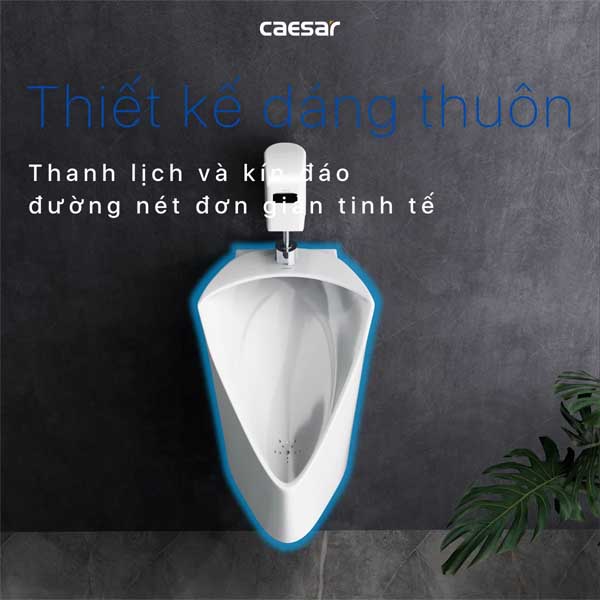 Tiểu Nam Treo Tường Caesar U0233