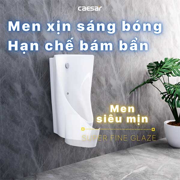 Tiểu Nam Cảm Ứng Treo Tường Caesar UA0234