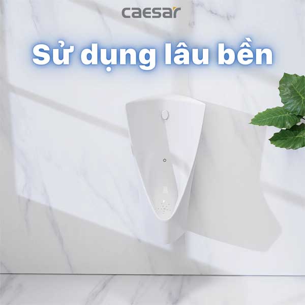 Tiểu Nam Cảm Ứng Treo Tường Caesar UA0234