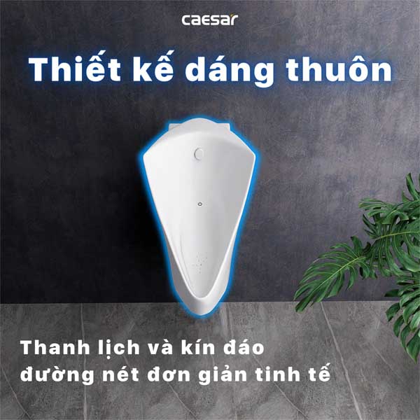 Tiểu Nam Cảm Ứng Treo Tường Caesar UA0234