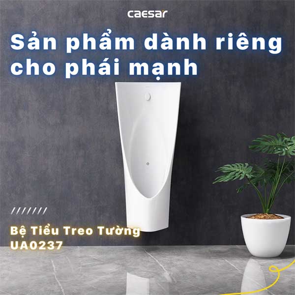 Tiểu Nam Treo Tường Caesar UA0237