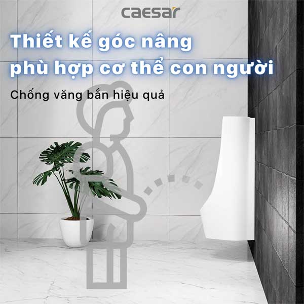 Tiểu Nam Treo Tường Caesar UA0237