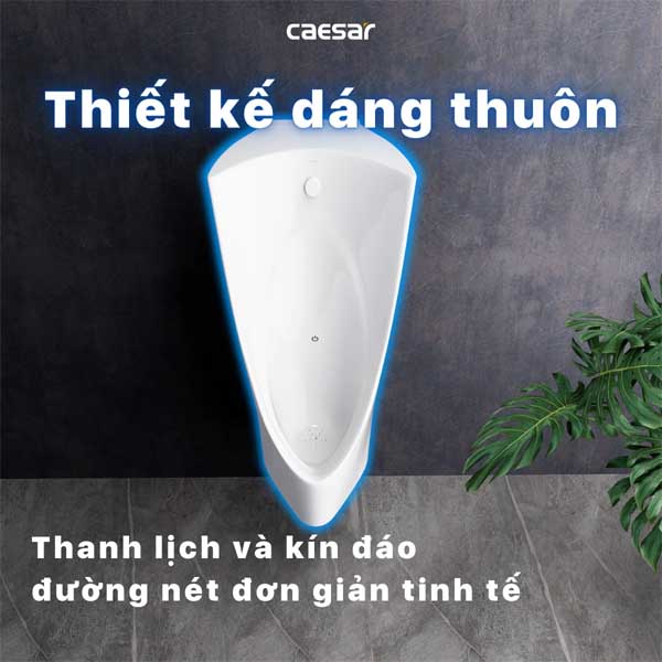 Tiểu Nam Treo Tường Caesar UA0237