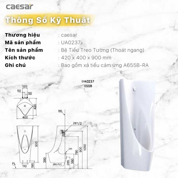 Tiểu Nam Treo Tường Caesar UA0237