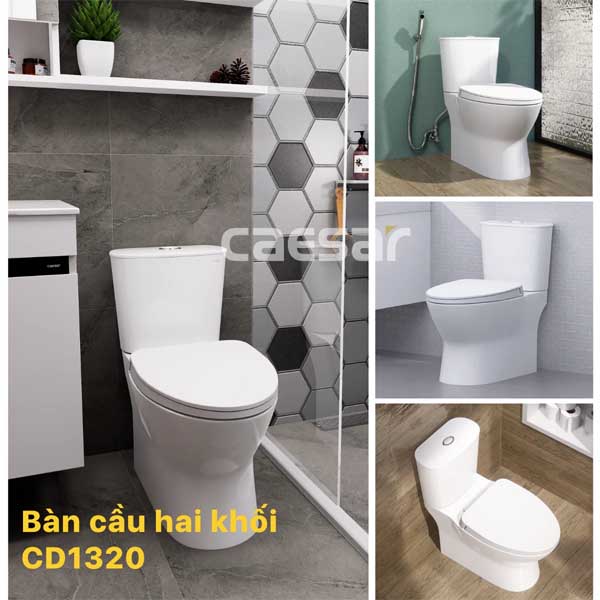 Bàn Cầu Hai Khối Nắp Êm Caesar CD1320
