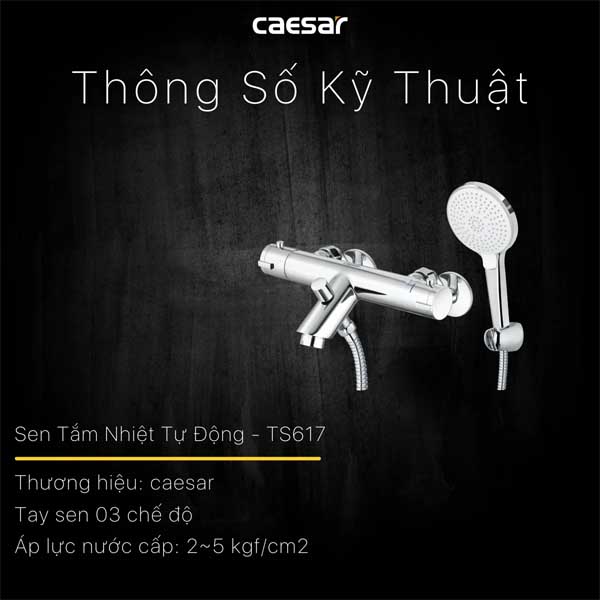 Vòi Sen Nhiệt Độ 3 Chế Độ Caesar TS617