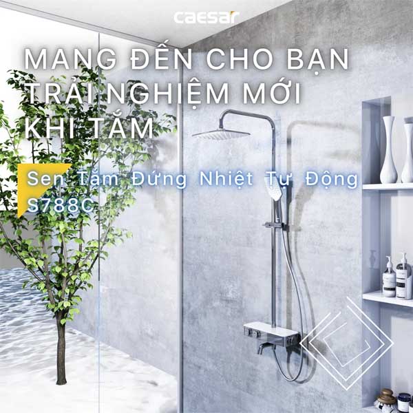 Sen Cây Tắm Đứng Nhiệt Độ Caesar S788C