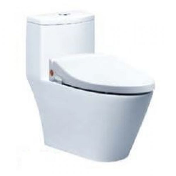 Bàn cầu kết hợp nắp cơ CD1363 TAF050