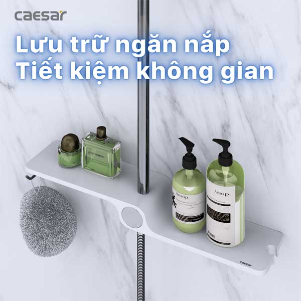 Phụ Kiện Sen Tắm Đứng Caesar BS127