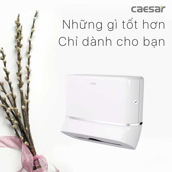 Hộp Đựng Giấy Vệ Sinh Caesar H101