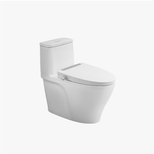 Bồn cầu inax AC989+ S32