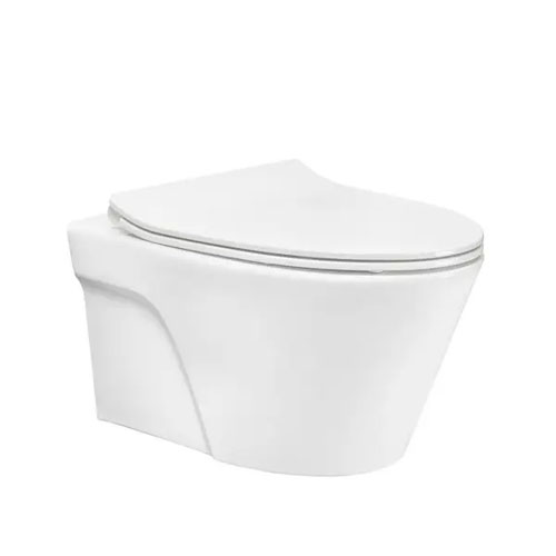 Bàn cầu treo tường Toto CW822RA/TC600VS/WH172A/MB170P