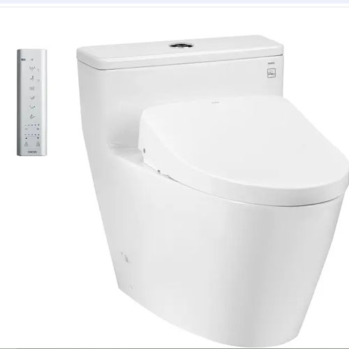 Bồn cầu điện tử Toto MS625DW11 Nắp Washlet TCF4911Z