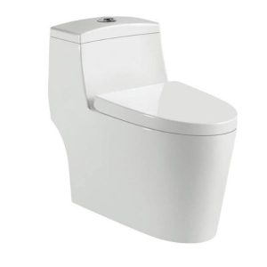 Bàn cầu một khối RUSIT-VADO RU2617