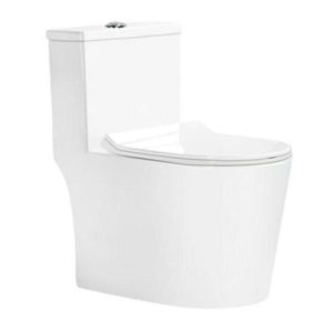 Bàn cầu một khối RUSIT-VADO RU2925