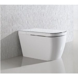 Bồn cầu thông minh RUSIT-VADO RUTA886