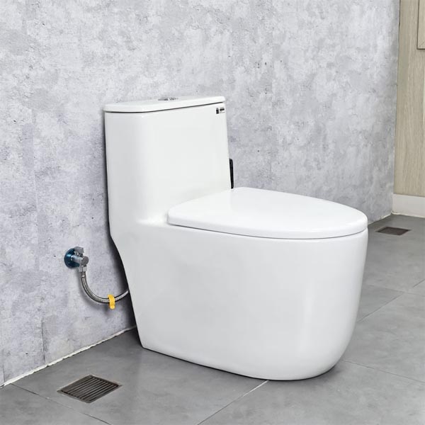 Bồn cầu Ecod liền khối EB9063/PP