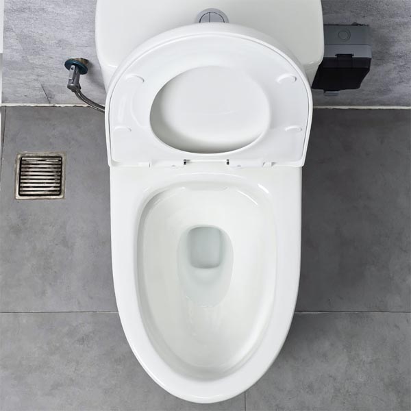 Bồn cầu Ecod liền khối EB9063/PP