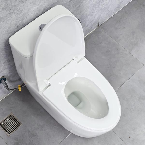 Bồn cầu Ecod liền khối EB9063/PP