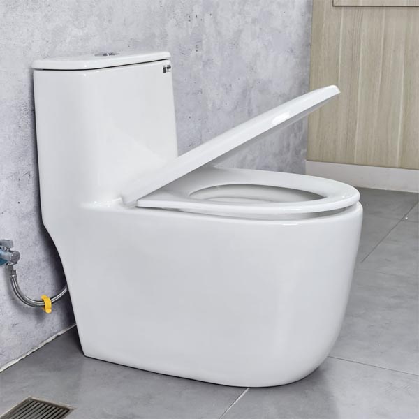 Bồn cầu Ecod liền khối EB9063/PP