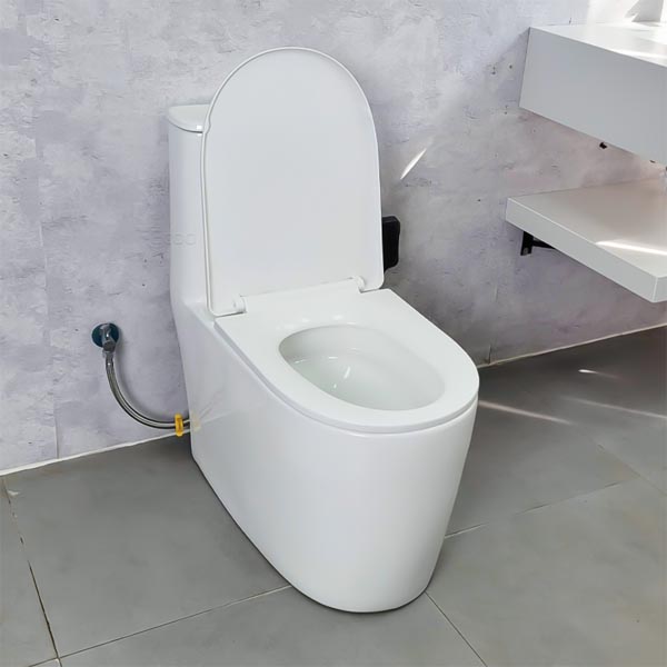 Bồn cầu Ecod liền khối EB555