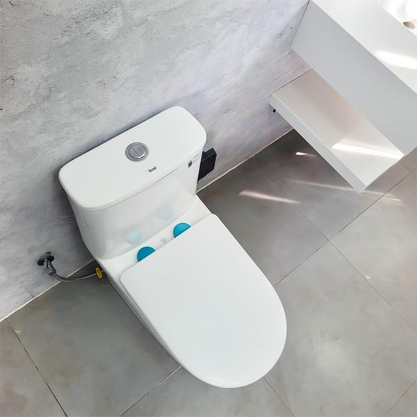 Bồn cầu Ecod liền khối EB555