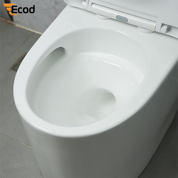 Bồn cầu Ecod liền khối EB9065/UF