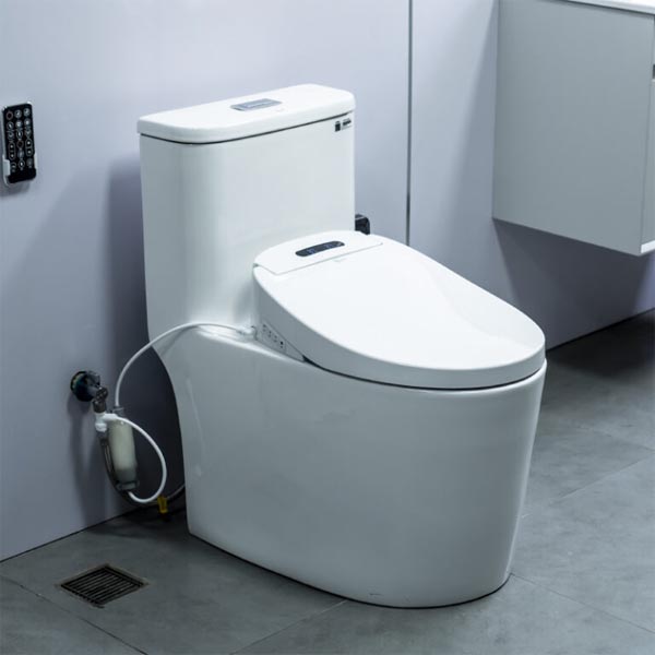 Nắp rửa điẹn tử EBN1805