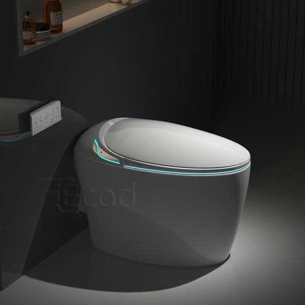 Bồn cầu Ecod điện tử EBS339